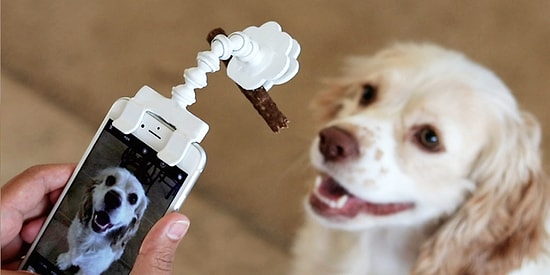 Специальная насадка на смартфон позволит сделать идеальное фото вашего питомца