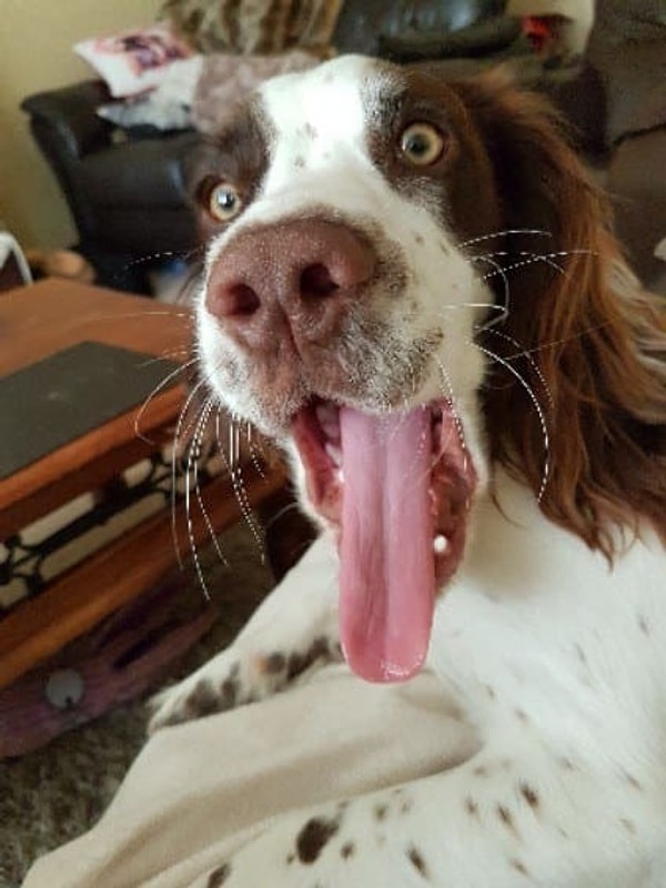 15. Ну, и третий зевок на счастье...