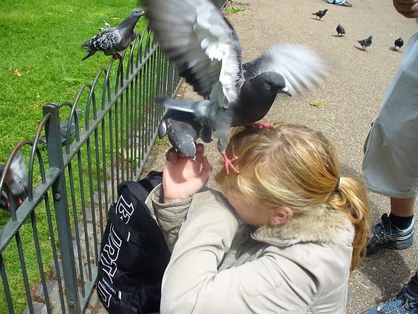 22. Когда захотел красивую фотку, но не все оказались за...