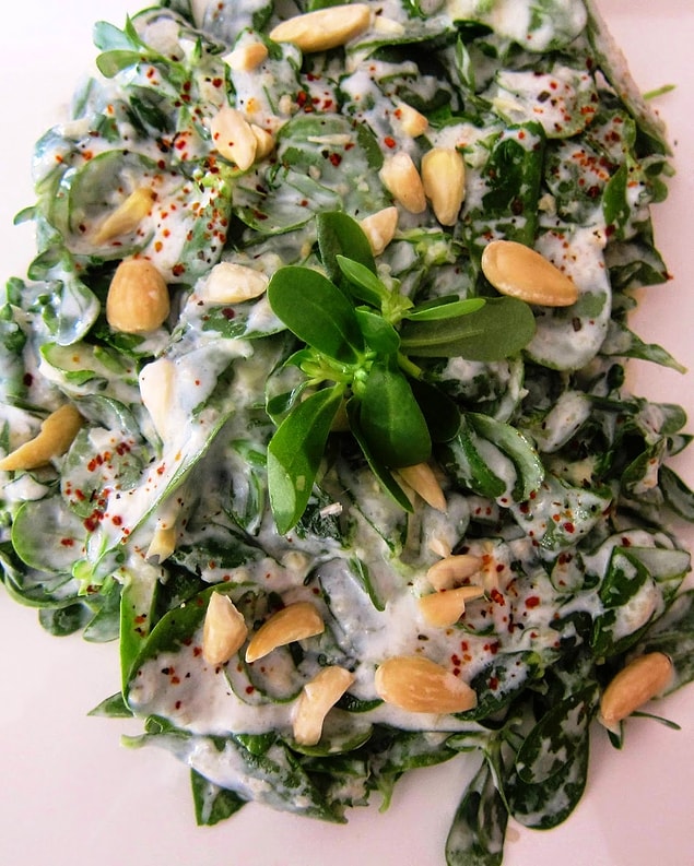 Yoğurtlu semizotu salatası.