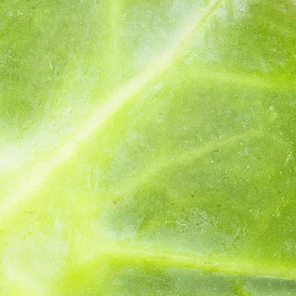 4. Что это такое зелененькое?