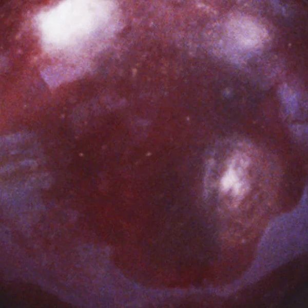 8. Слива или виноград?