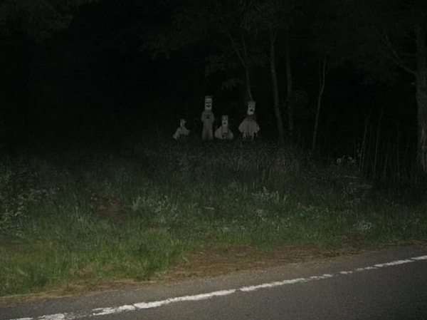 6. Никогда не знаешь, что поджидает тебя между деревьев в лесу...