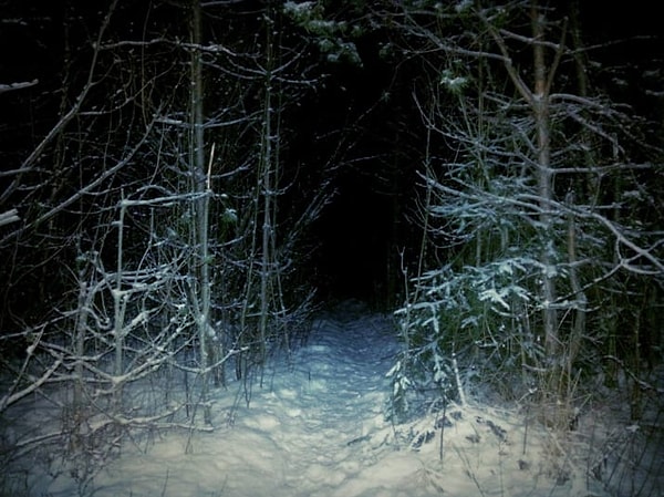 12. Ну что, эта тропинка выглядит хотя бы отдаленно привлекательной?