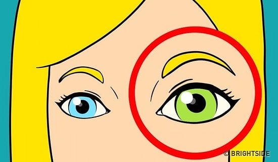 Daha İlk Maddesinde 'İçerik Bitse de Öğrendiklerimi Hazmetsem!' Diye Sabırsızlanacağınız 19 Enteresan Bilgi