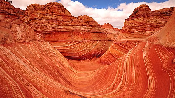 2. Coyote Buttes, ABD