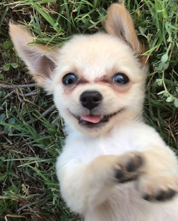 6. И, кто знает, может, однажды,когда они оба встанут на ноги, они воссоединятся!