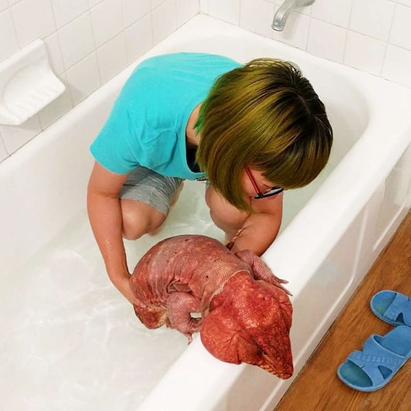 8. Купается...