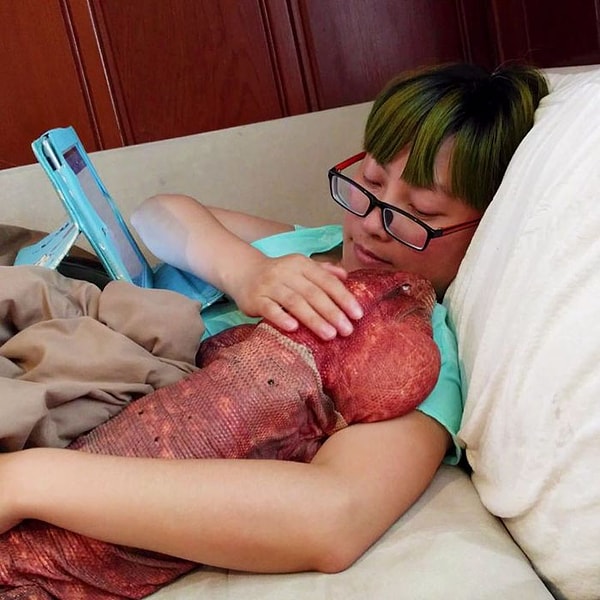 14. "Но он предпочитает спать около дивана, прямо у наших ног".