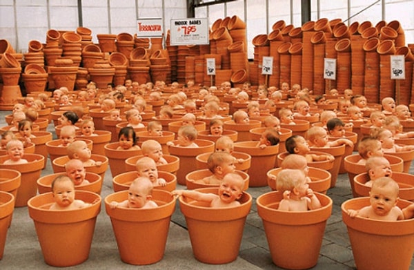 12. Самое большое потомство