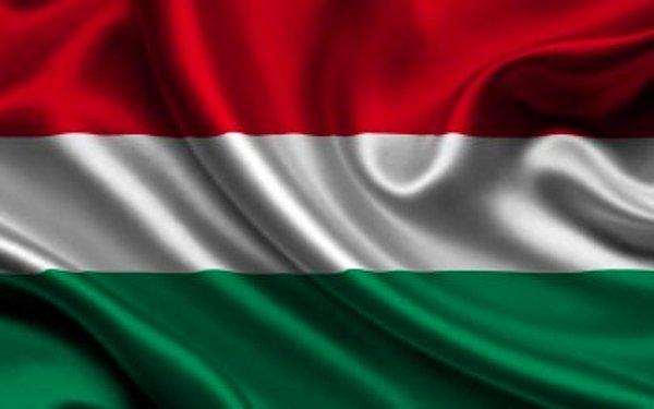 Macaristan : Alternatif Rock (En az dinlenen Türk Kültür Müziği % 0,5'lik bir oranla)