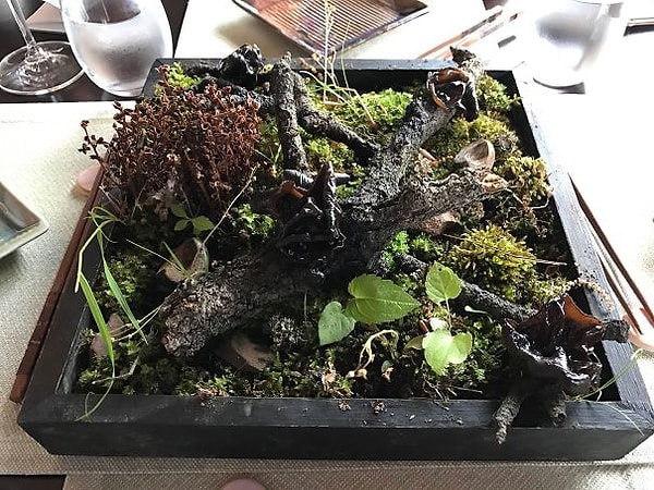 17. Грибы сразу из леса