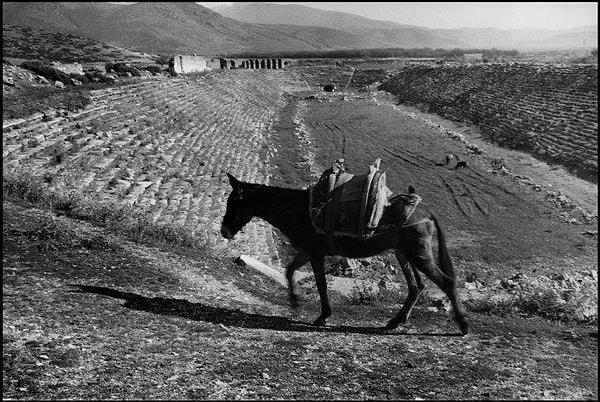 Ara Güler 1958 yılında Aydın'da kaybolması sonucu bu antik kentin ortaya çıkmasını sağladı