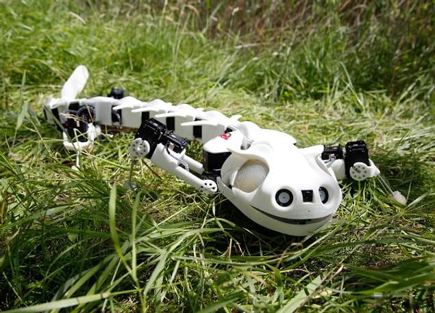 Pleurobot (Semender)