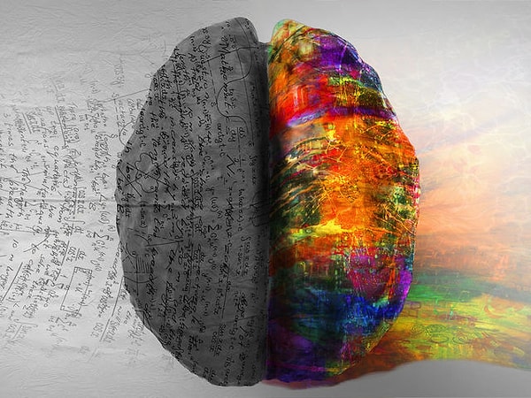 Вы на 40% рациональны и на 60% эмоциональны!