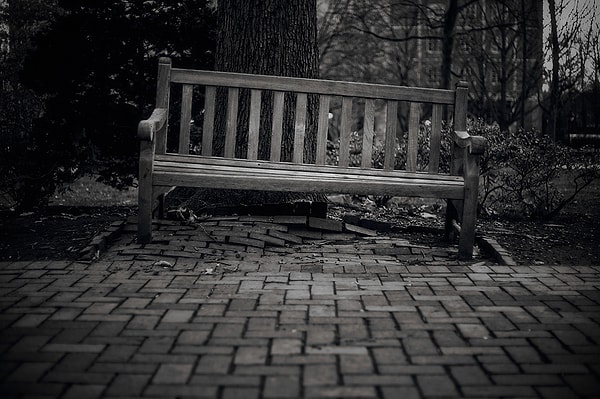 1. Представьте, что сейчас ваше любимое время суток. Вы сидите в парке на скамейке и думаете о своей жизни. Внезапно вы замечаете, что за вами наблюдает птица. Какого цвета эта птица?