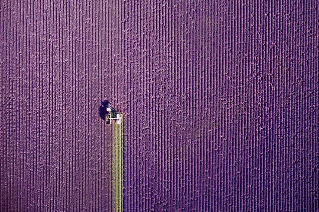 5. Provence, Fransa (Doğa, 1. Sırada)