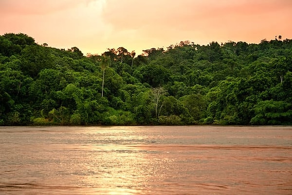 6. Через какие страны протекает река Парана?