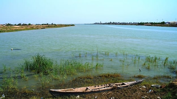 9. Река Тигр протекает через территорию трёх стран, среди которых...