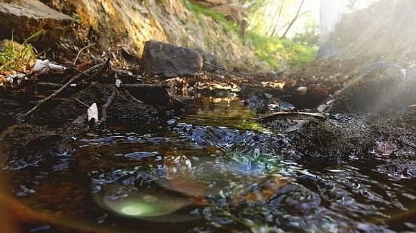 12. Где протекает река Насас?