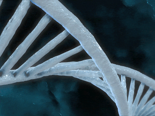 İngiltere'de Cambridge Üniversitesi tarafından yürütülen çalışmada yaklaşık 14.000 kişinin DNA'sı incelendi.