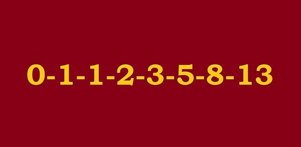 19. Aşağıdaki sayı dizisi hangisine bir örnektir?