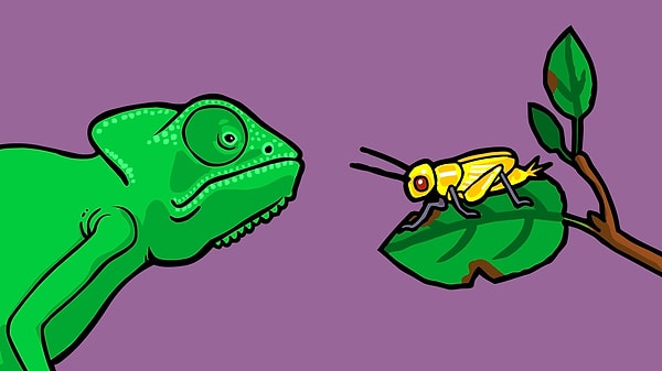 4. Как по-другому называют естественный отбор?