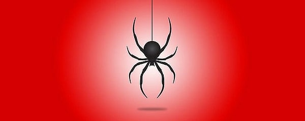 2. Пауки вызывают у меня следующее чувство: