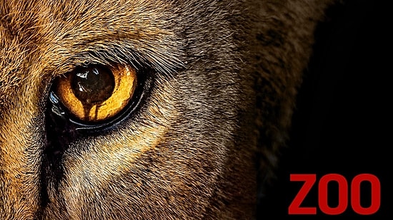 Hayvanlar Ayaklanırsa Ne Olur? Farklı Senaryosuyla Dikkatleri Üzerine Çeken Yabancı Dizi: Zoo