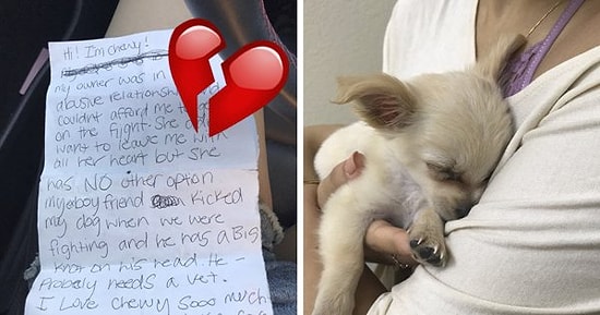 Yanında Yürek Burkan Mektupla Sahibi Tarafından Havaalanına Terk Edilen Yavru Köpüş