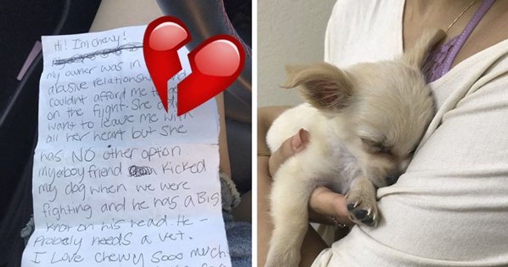 Yanında Yürek Burkan Mektupla Sahibi Tarafından Havaalanına Terk Edilen Yavru Köpüş