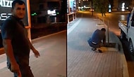 Mersin'de Reklam Panosunu Kapattığı Gerekçesiyle Ağaçları Kestiler!