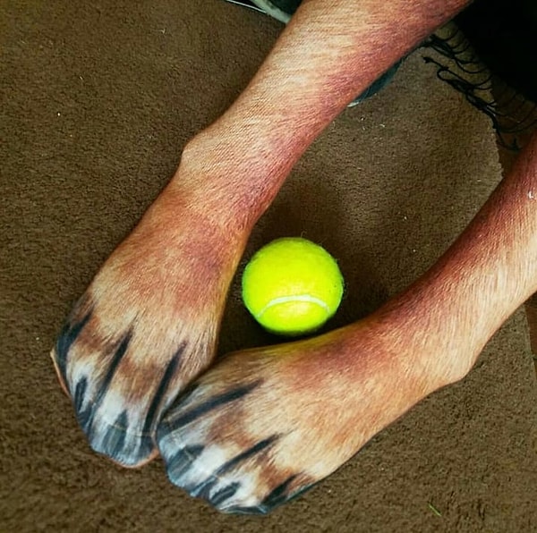 12. Вы бы хотели себе такие гольфы?