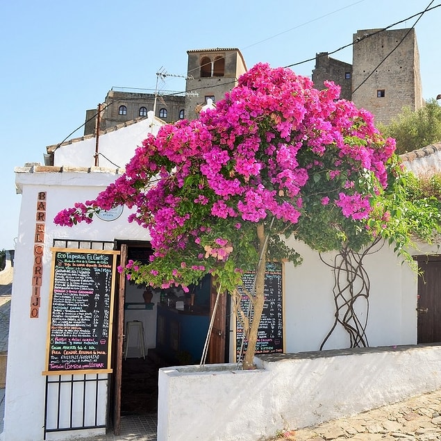 12. Güney İspanya'da zamanı yavaşlatan bir tatil.