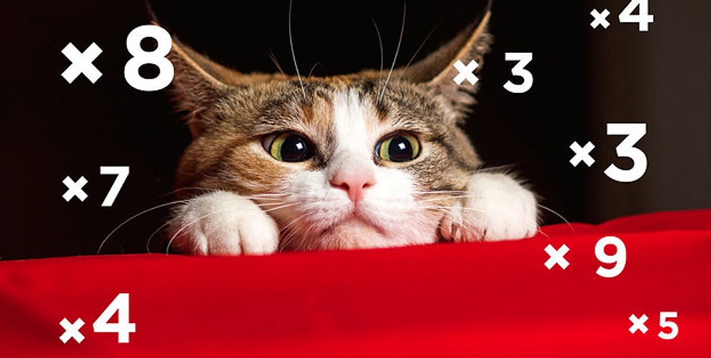 Тест: Сможете ли вы пройти этот несложный, на первый взгляд, математический тест? Часть-2