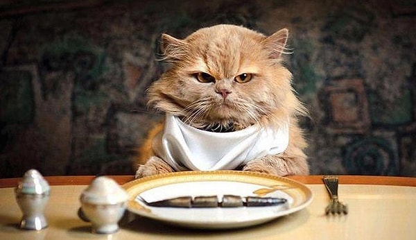 1. Ученый Саймон Оксенхэм написал в журнале New Scientist статью о том, почему мы становимся злыми, когда испытываем чувство голода.