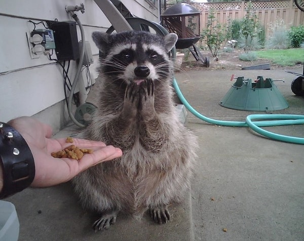 2. Оказывается, «главная причина того, что мы становимся раздраженными, не поев, в том, что в крови падает уровень глюкозы».