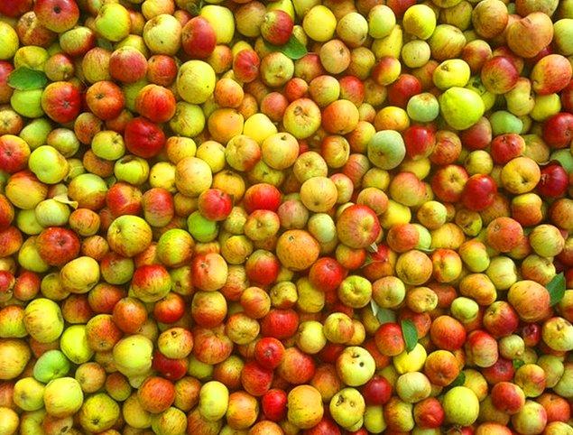 4. Dünyada o kadar çok elma türü var ki, her gün bir elma yeseydiniz hepsini tatmanız 20 seneden fazla zaman alırdı.