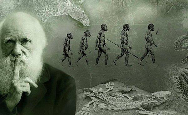 Evrim teorisi müfredattan çıkartıldı