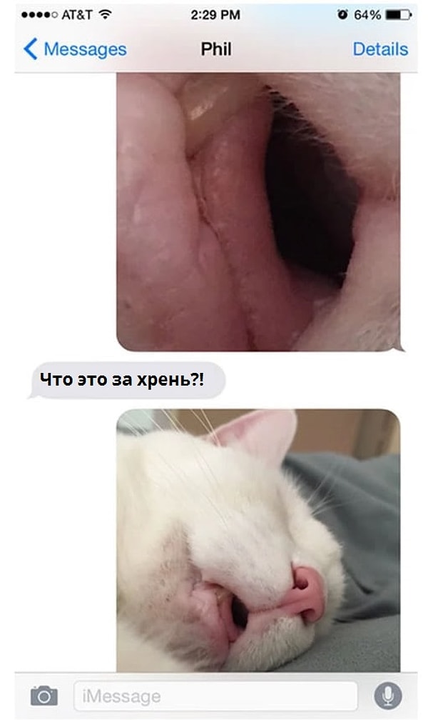 1. "Обожаю посылать странные обрезанные фотки своему брату"