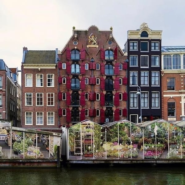 16. Это всемирная родина цветов