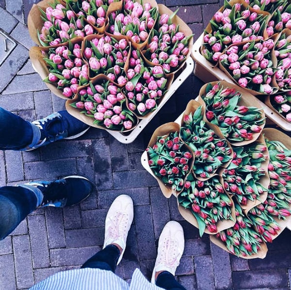 16. Это всемирная родина цветов