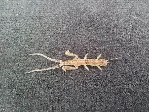 5. Всё в порядке, не стоит беспокоиться...