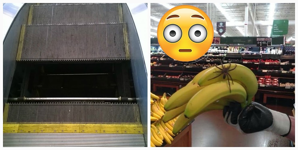 От этих 15 фото у вас однозначно затрясутся поджилки...