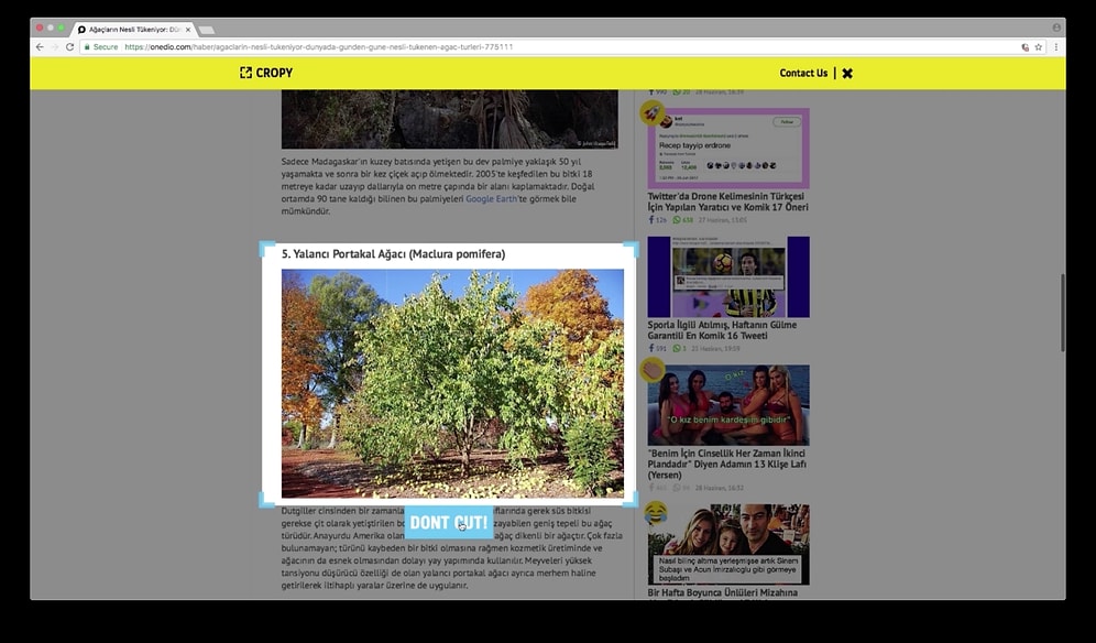 Tema ve Cropy İşbirliği Don't Cut Bağış Projesi