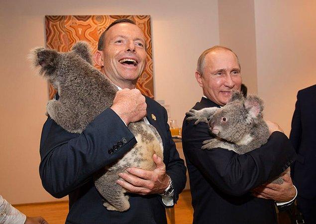 14. Putin ve dönemin Avustralya başbakanı Tony Abbott Brisbane G20 zirvesi öncesi iki koala ile birlikte kameralara poz verdi, 15 Kasım 2014.