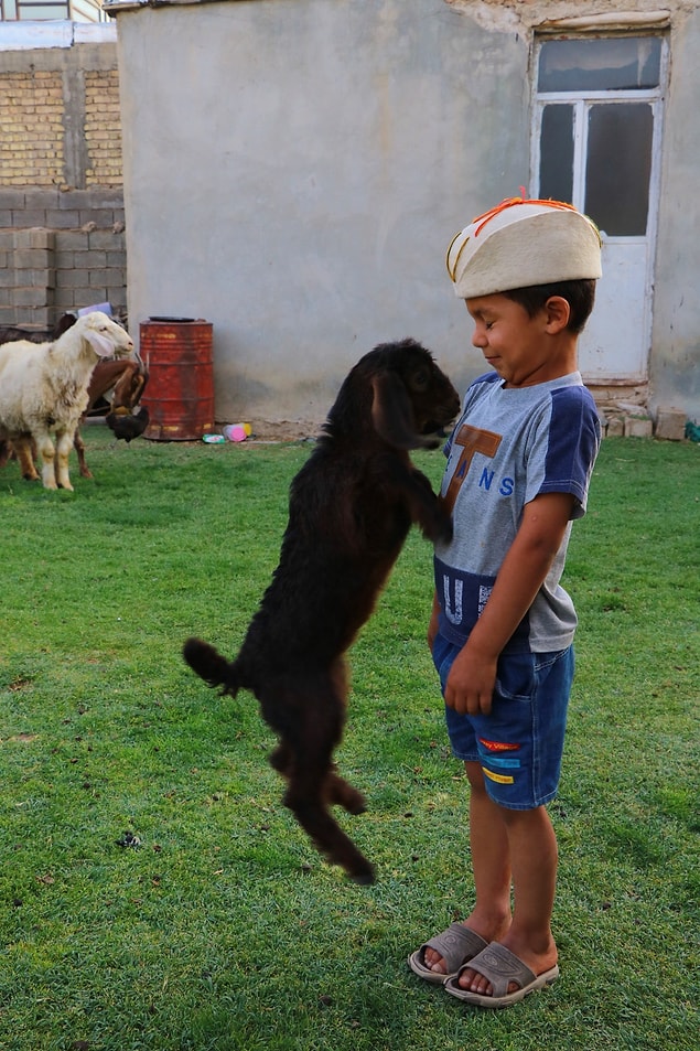 Çocukların Oyuncakları Küçükbaşları