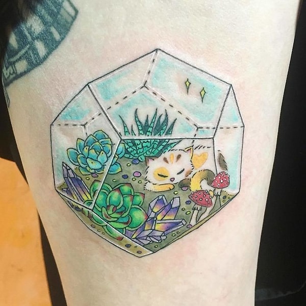 12. Целый террариум