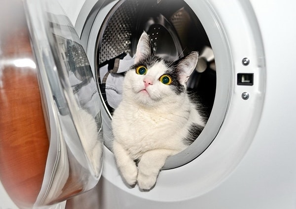 4. После того как вы вытащите выстиранное белье из стиральной машинки, вы прокрутите барабан еще раз, чтобы удостовериться, что там ничего не осталось?