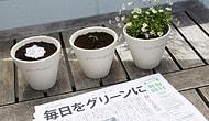 Japonya’nın ''çevreci'' gazetesi: Mainichi Shimbunsha